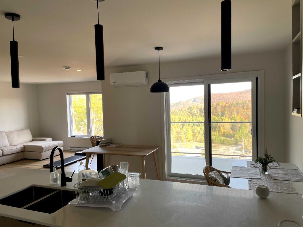 4 et demi quasi neuf à louer à Sainte-Agathe-des-Monts