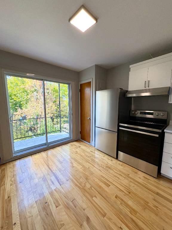 Rosemont lumineux 3 1/2 à louer