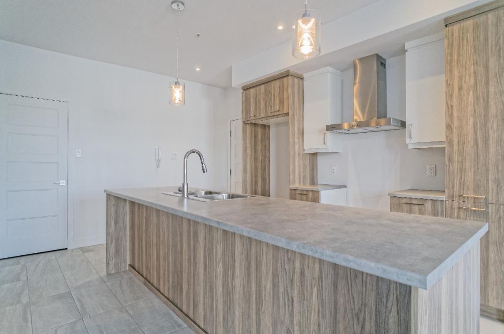 MAGNIFIQUE 4 1/2 - LIBRE 1er DÉCEMBRE - ASCENSEUR