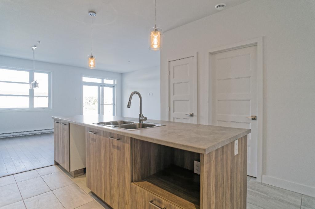 MAGNIFIQUE 4 1/2 - LIBRE 1er DÉCEMBRE - ASCENSEUR