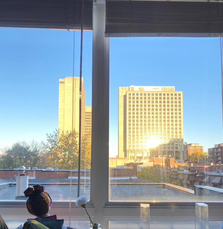 Grand / Big “ 4 1/2 “ au centre ville/ in downtown