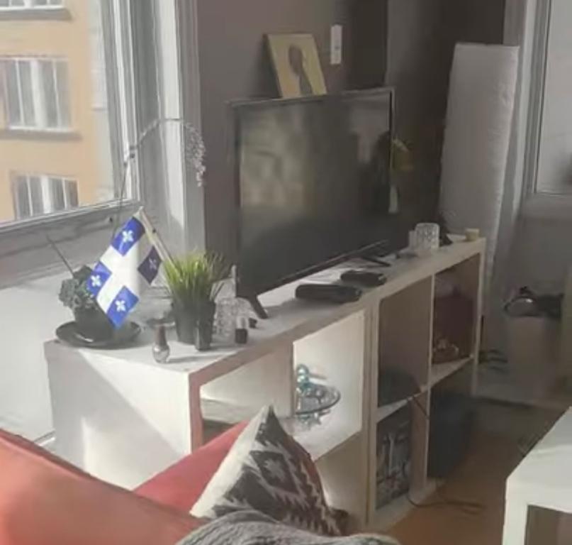 Grand / Big “ 4 1/2 “ au centre ville/ in downtown