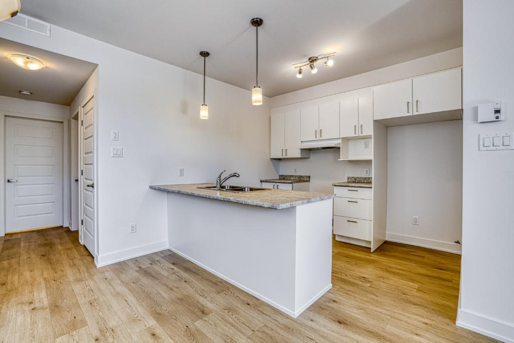 Charmant appartement d'une chambre au sous-sol | Emplacement idéal pour les navetteurs - 410, rue Des Becs-Scie, app. 2, Gatineau (Masson-Angers), QC