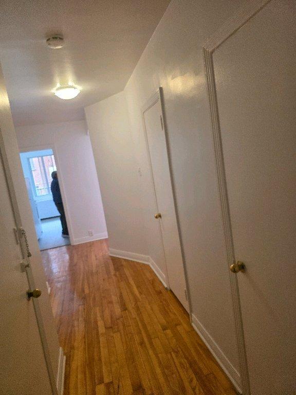 3 1/2 ensoleillé, près de l'université etc.