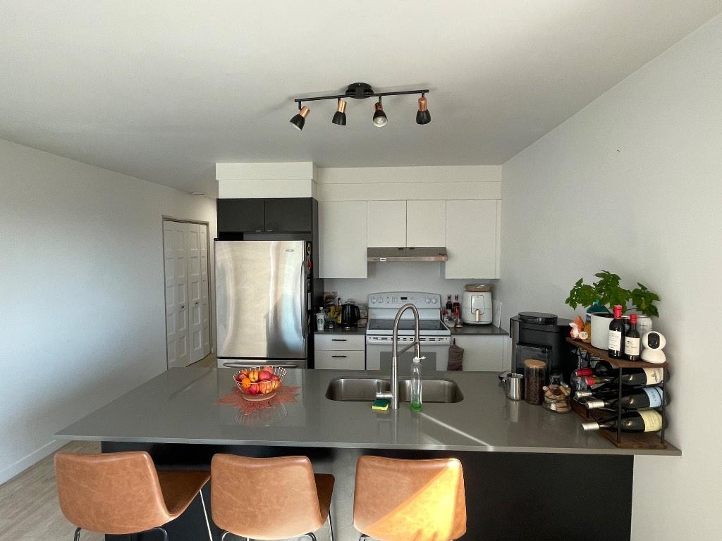 Appartement 4 1/2, animaux acceptés + prime