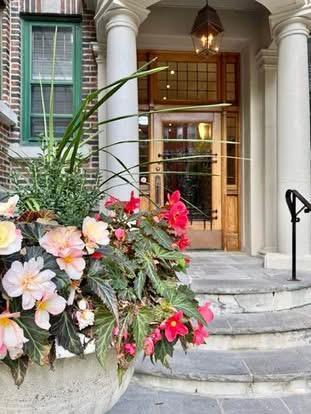 Lumineux 5 ½ au coeur d'Outremont/av. Bernard