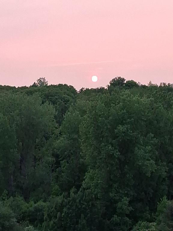 3 1/2 à louer Terrebonne Urbanova 1650$ Janvier 2026