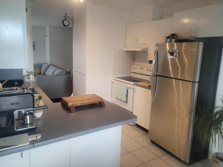 4 1/2 - Saint-Jean-Chrysostome - 965 $/mois