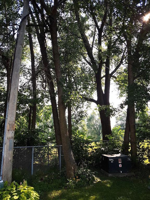 3 1/2 tranquil et spacieux à Saint Lambert