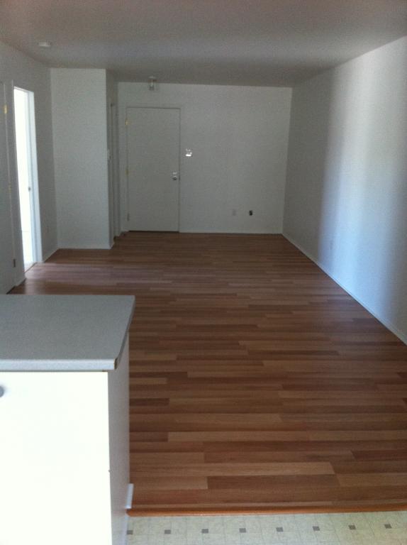 Grand 4 1/2 impeccable 1er étage à louer