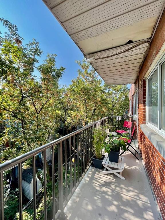 Studio - Montréal - $945 /mo