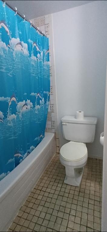 A Valleyfield - Jolie, propre et grande 3-1/2, LIBRE