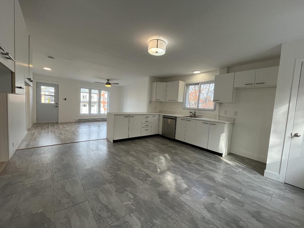 Beau grand 4 et demi lumineux et tranquille