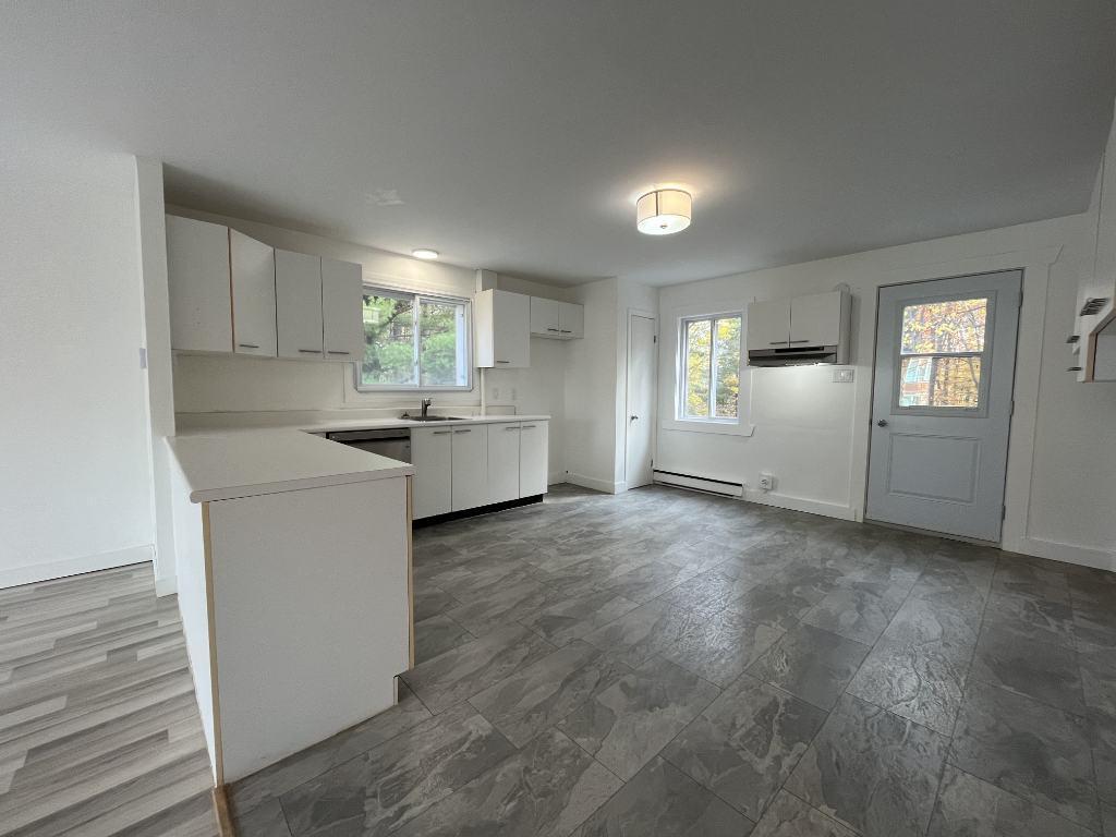 Beau grand 4 et demi lumineux et tranquille