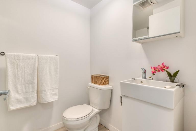 Studio - Montréal - $1,195 /mo