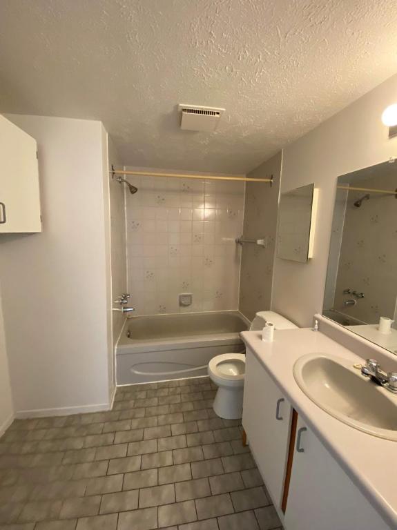 GRAND ET LUMINEUX 4.5 DISPONIBLE 1er FÉVRIER 2025