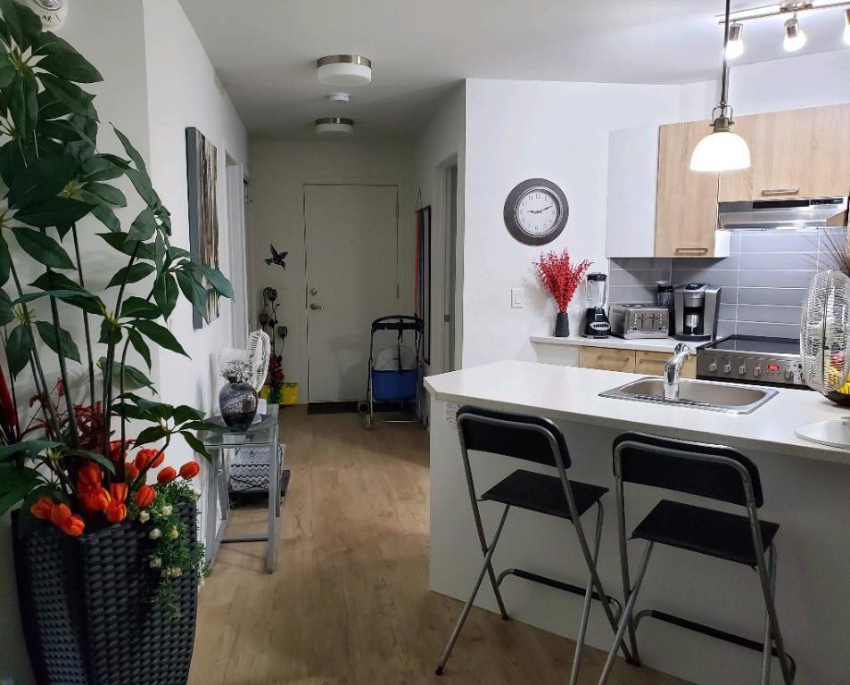 LOGEMENT 3½ BORD DU FLEUVE