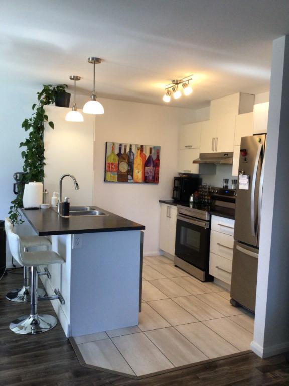 Grand 5 1/2 a louer St-Jérome, a partir du 1 décembre ou 1er janvier. Endroit tranquille avec locataires établies depuis plusieurs année. Parcs a roxi