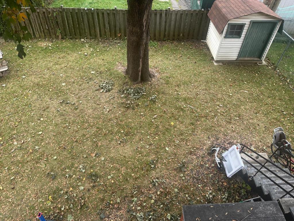 5 et 1/2 Villeray 1800$ chauffage inclus