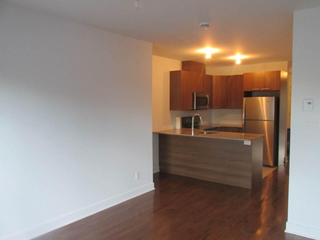 Condo Plateau Mont Royal