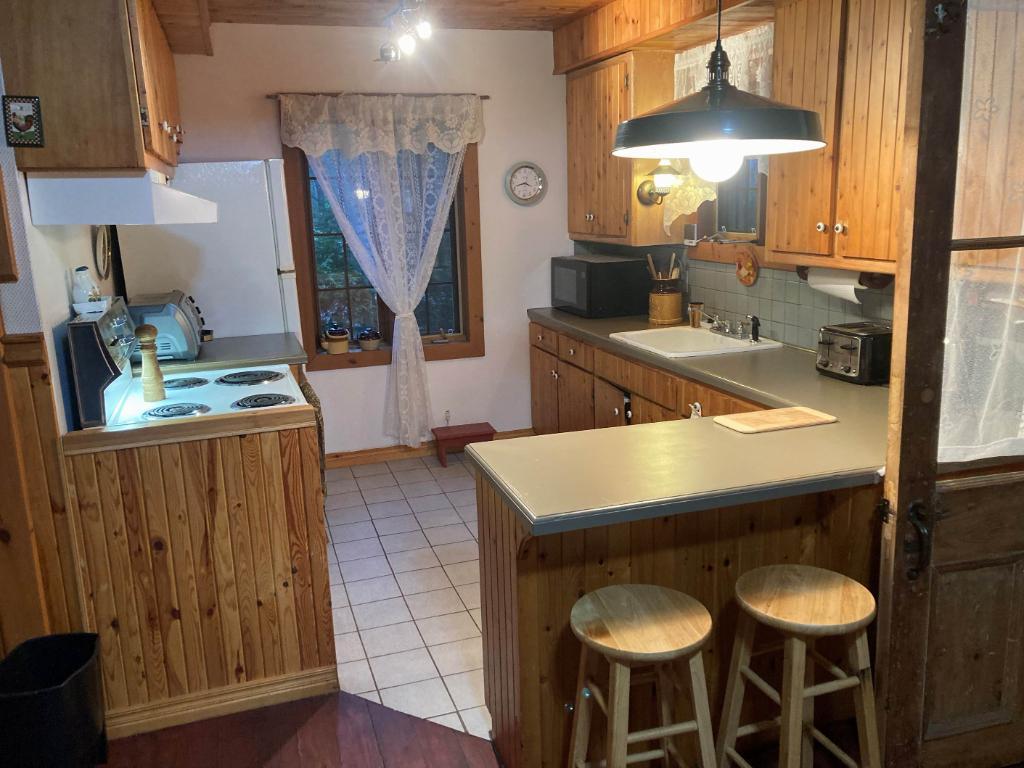 Transfert de bail – 4 1/2 moderne au centre-ville de Montréal - Condo / Appartement à louer