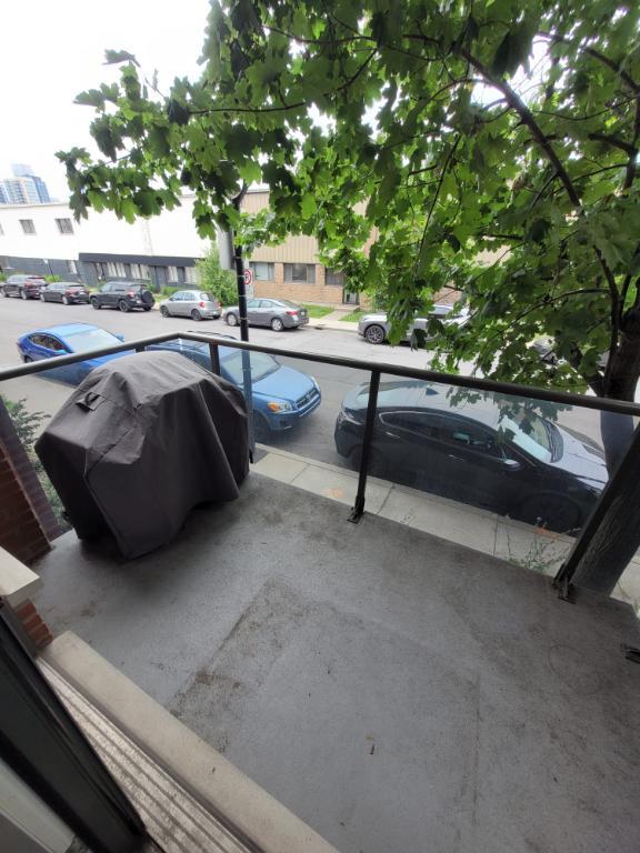 Large bright one bedroom in Pointe St.Charles