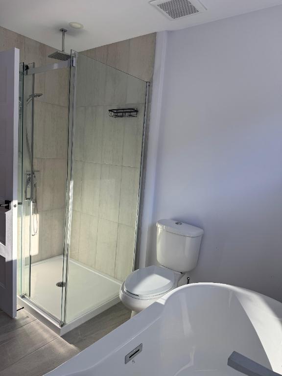 Magnifique Maison à louer neuve - La Chute