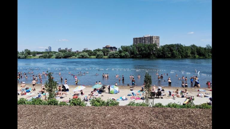 5 1/2 - Montréal (Verdun) - 1 785 $/mois