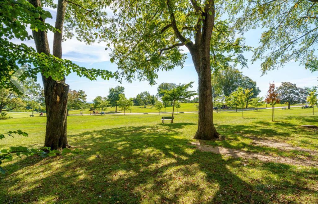 Magnifique Condo en face des plaines