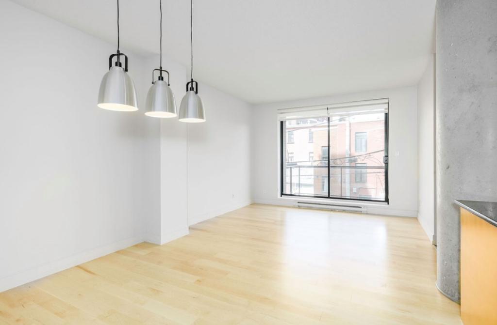 Magnifique Condo en face des plaines