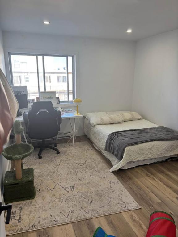 Appartement 1 chambre (3 et demi) - 1-bed apartment