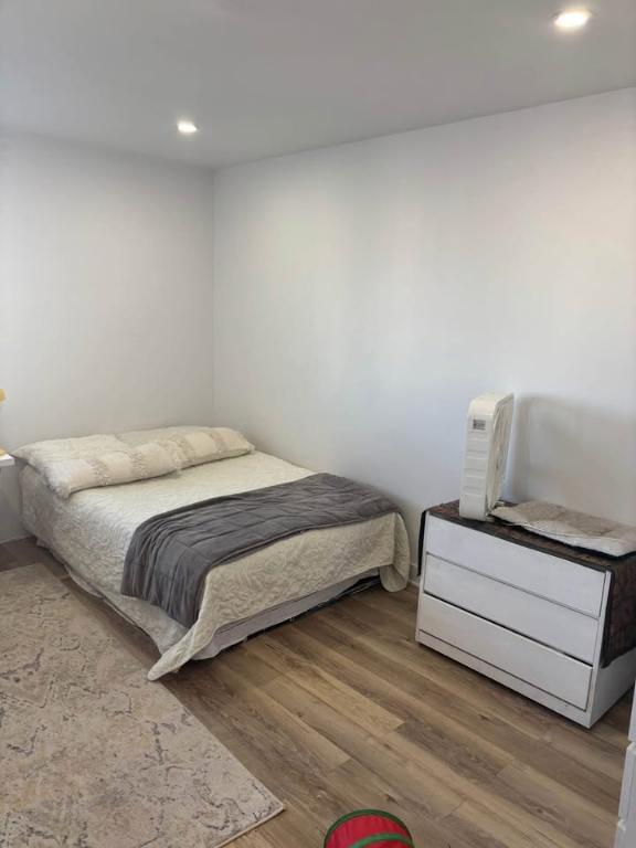 Appartement 1 chambre (3 et demi) - 1-bed apartment