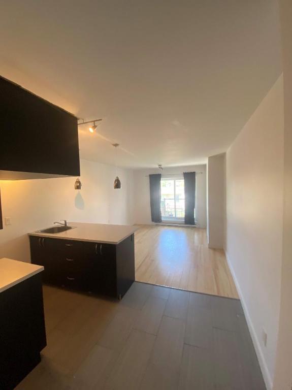 1 CH - 1 SDB - Montréal - $1,295 /mo