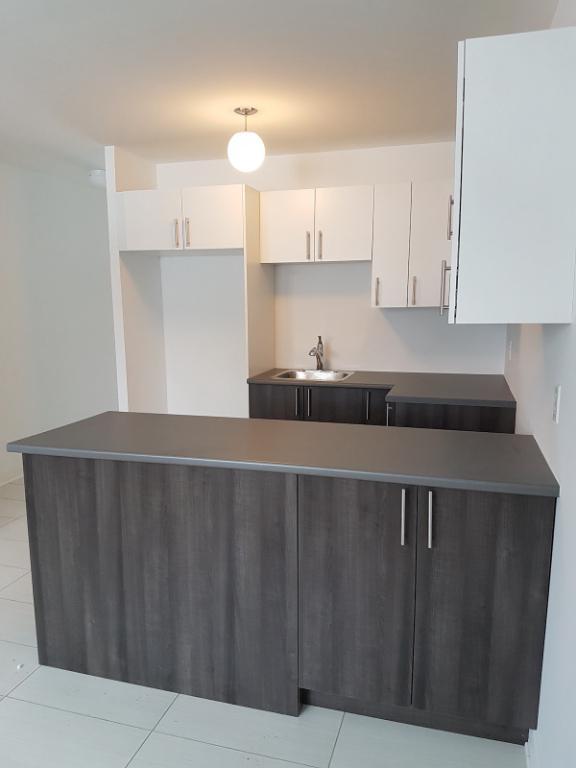 Perle Rare à Saint Lambert - Grand 3 1/2 Renové, entouré d'arbres et près du Village