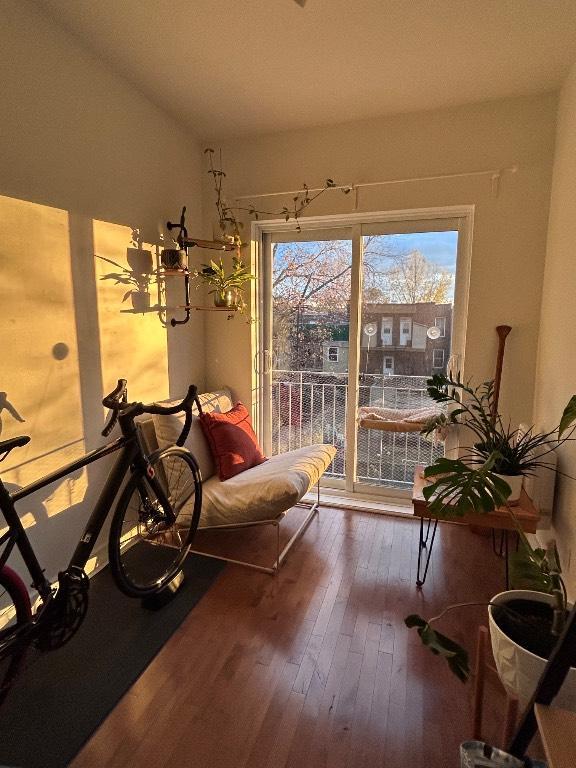 Cession de bail, grand 41/2 lumineux, Hochelaga