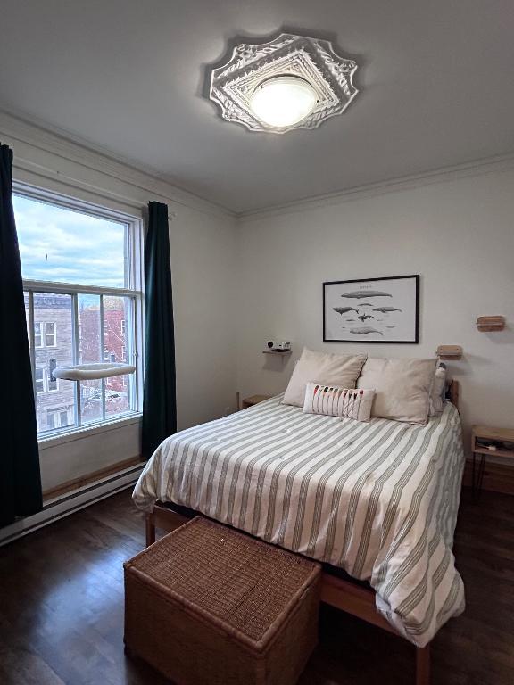 Cession de bail, grand 41/2 lumineux, Hochelaga