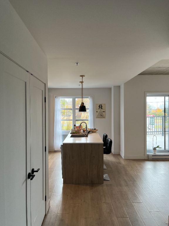 Grand 3 1/2 Mont-St-Hilaire 884pi2