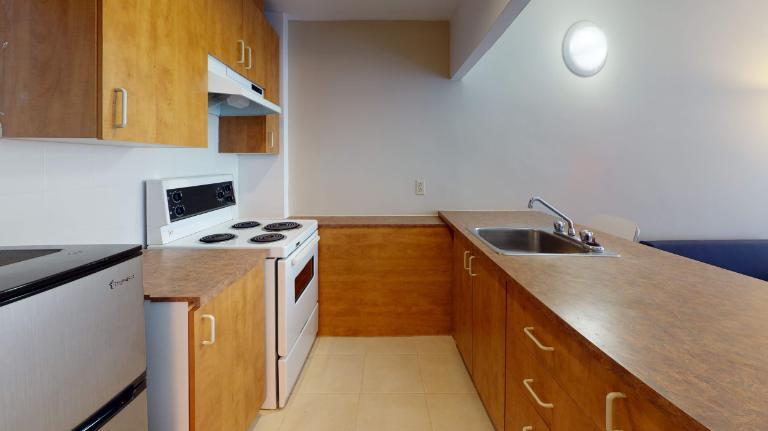 GHETTO MCGILL- 3 ½ RÉNOVÉ & MEUBLÉ – 1 CHAMBRE FERMÉE