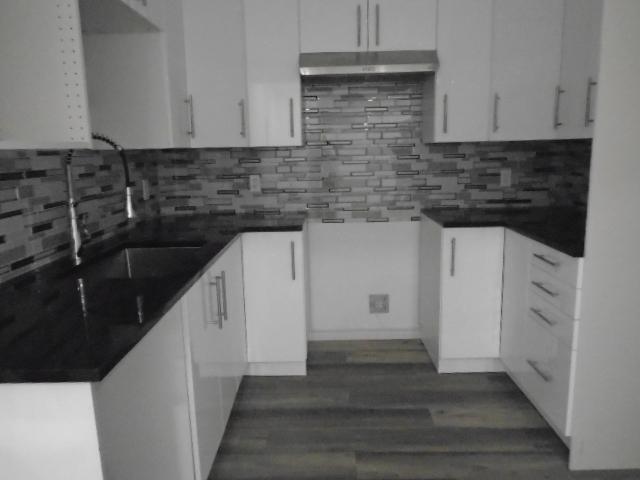 4 ½ rue Drapeau Montréal Nord LIBRE