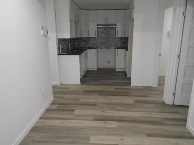 4 ½ rue Drapeau Montréal Nord LIBRE