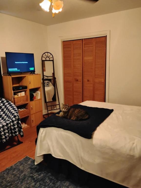 4 1/2 - Montréal (Montréal-Nord) - 1 520 $/mois