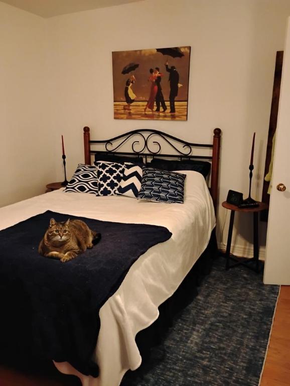 4 1/2 - Montréal (Montréal-Nord) - 1 520 $/mois