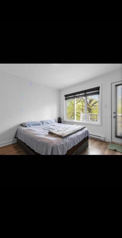 2 Beds 1 Bath Apartment 4 1/2