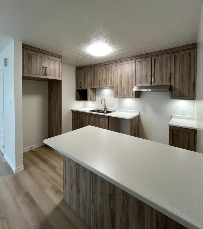 Beau grand 5 1/2 entièrement rénové