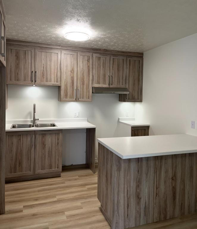 Beau grand 5 1/2 entièrement rénové