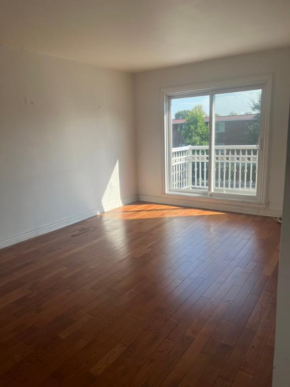 4 1/2 NOUVEAU ROSEMONT- LIBRE IMMÉDIAT