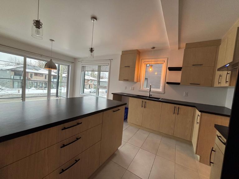 Appartement 4 1/2 lumineux et moderne