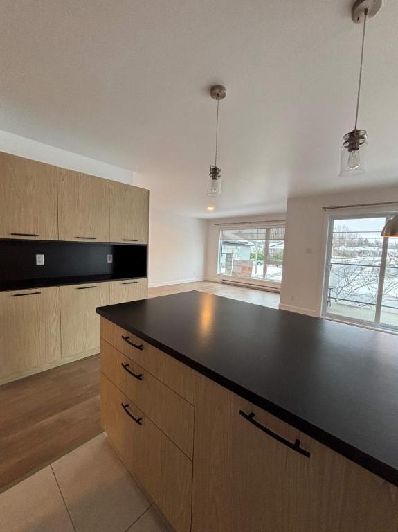 Appartement 4 1/2 lumineux et moderne