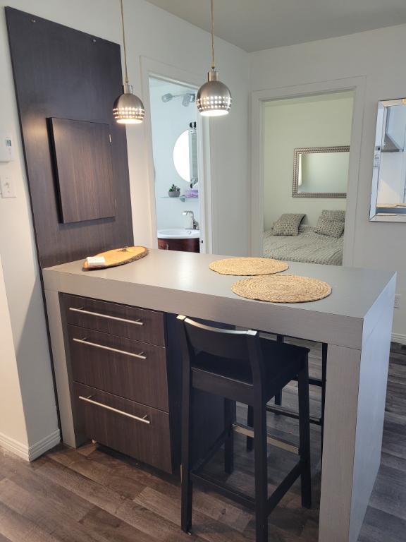 3,5 Beau frais peinturé et meublé de A a Z terrasse sur le toit