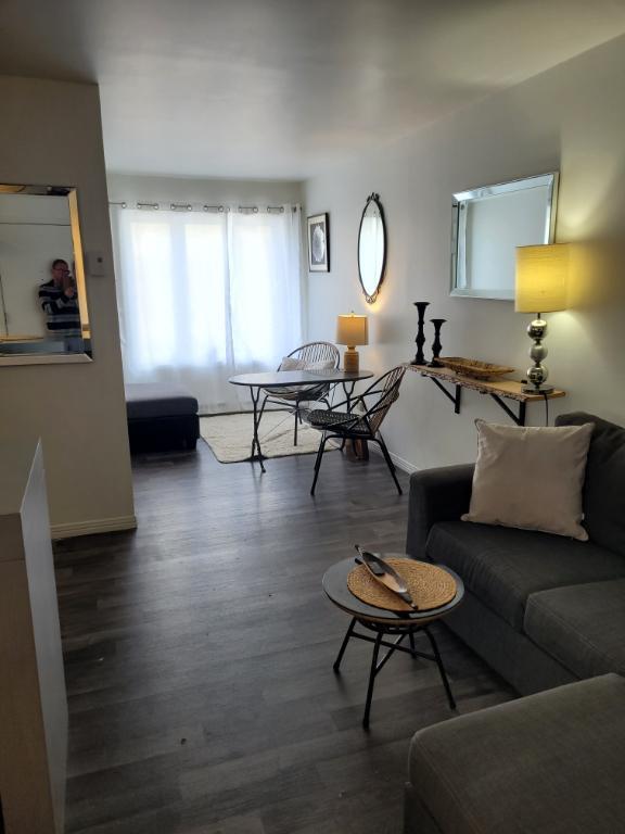 3,5 Beau frais peinturé et meublé de A a Z terrasse sur le toit